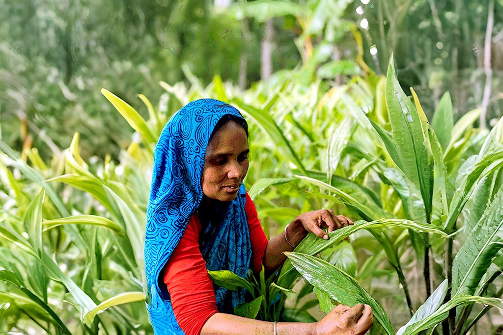 Roushon Ara Transformed Her Farm and Empowered Her Family
